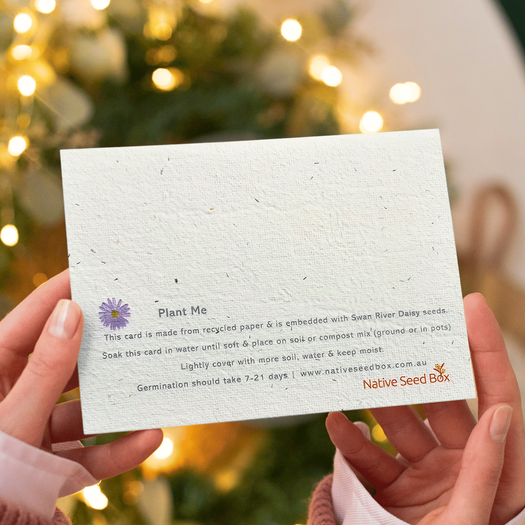 Plantable Christmas Eucalypt Bouquet Card – Bottlebrush Seed Paper with Recycled Envelope