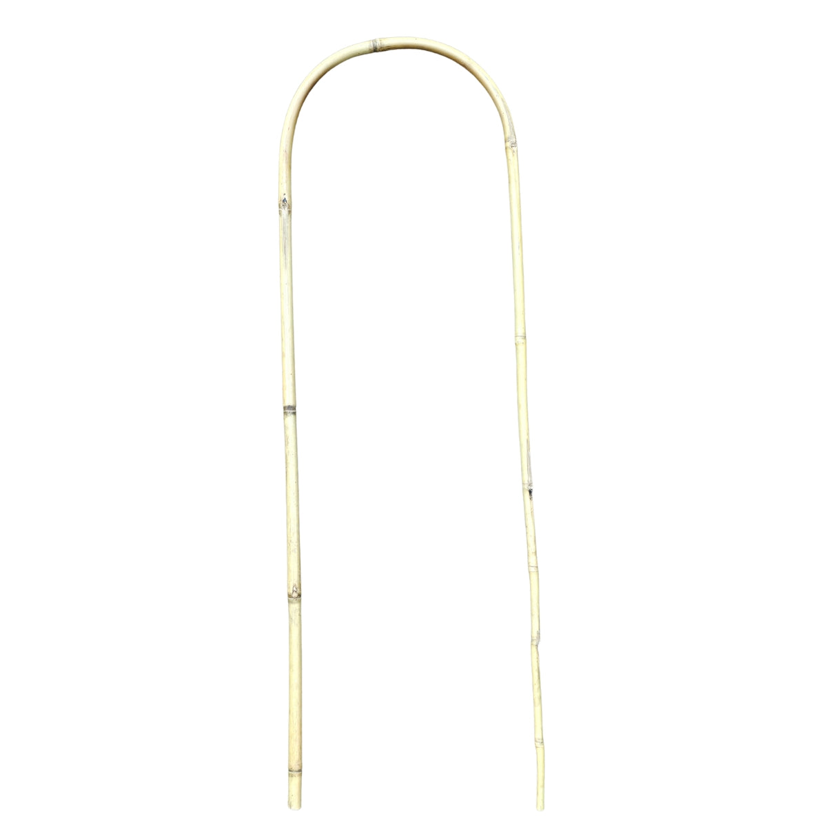 U-Shaped Bamboo Plant Trainer 600mm x 12–14mm | Single | GDS423