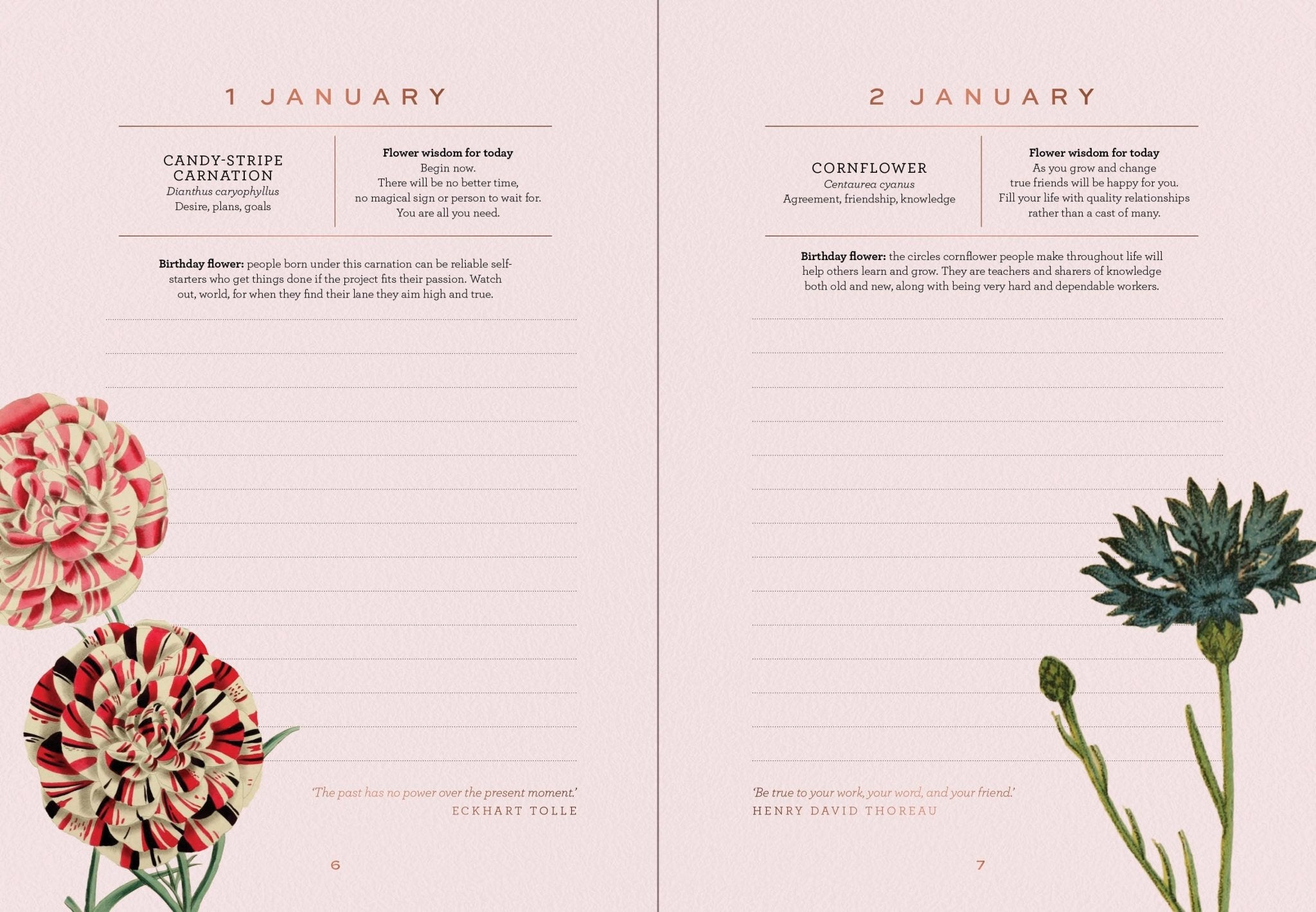 A Year of Flowers: A Journal of Daily Wisdom - Oldboy&