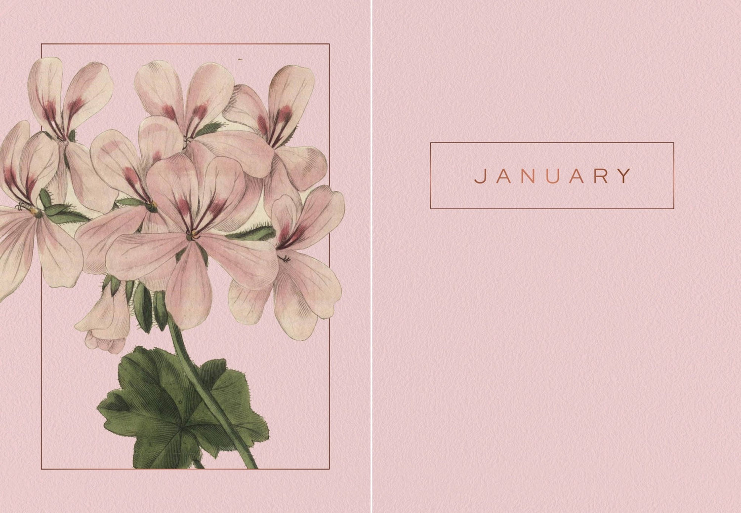 A Year of Flowers: A Journal of Daily Wisdom - Oldboy&
