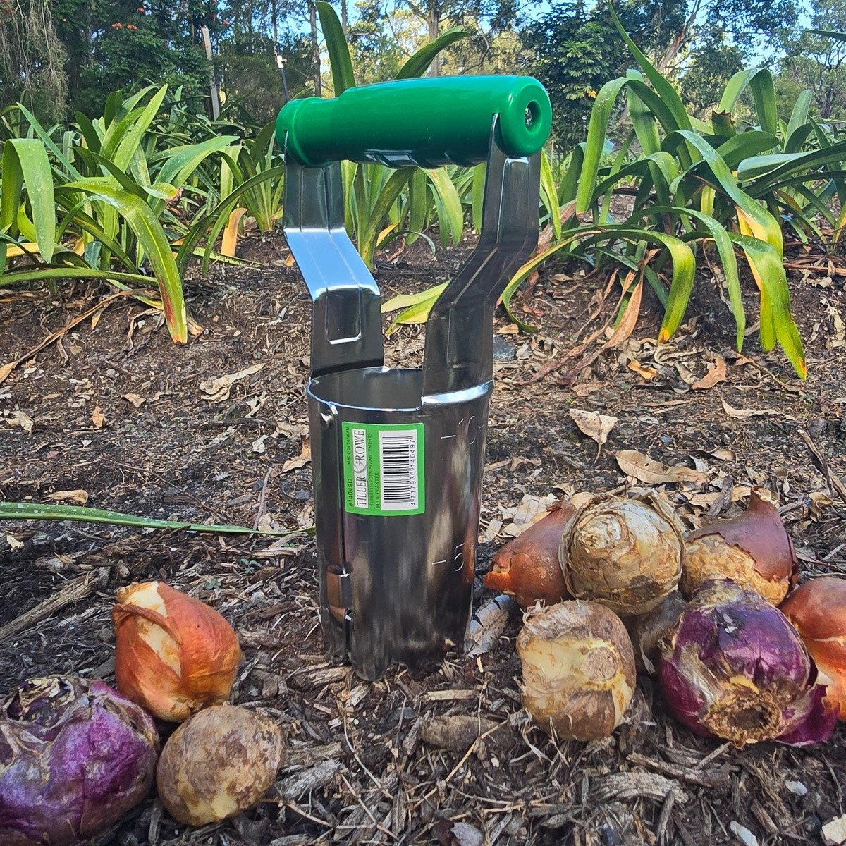 Adjustable Bulb Planter - Oldboy&