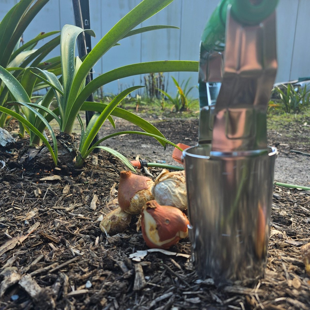 Adjustable Bulb Planter - Oldboy&