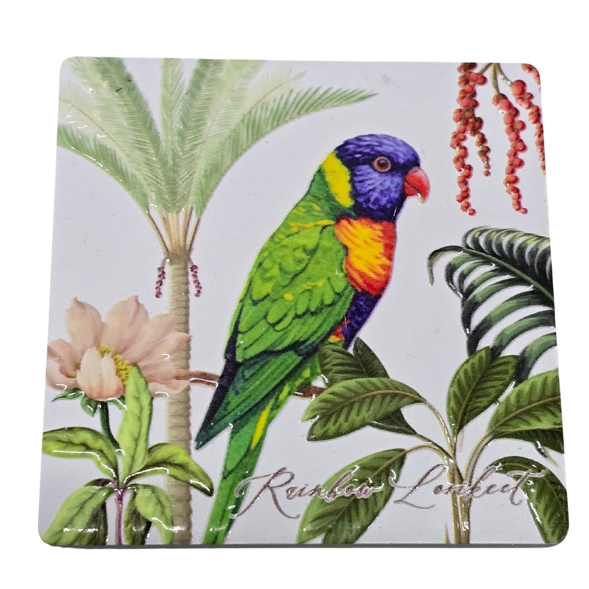 Australian Bird Magnet – 8cm Assorted Designs - Oldboy&