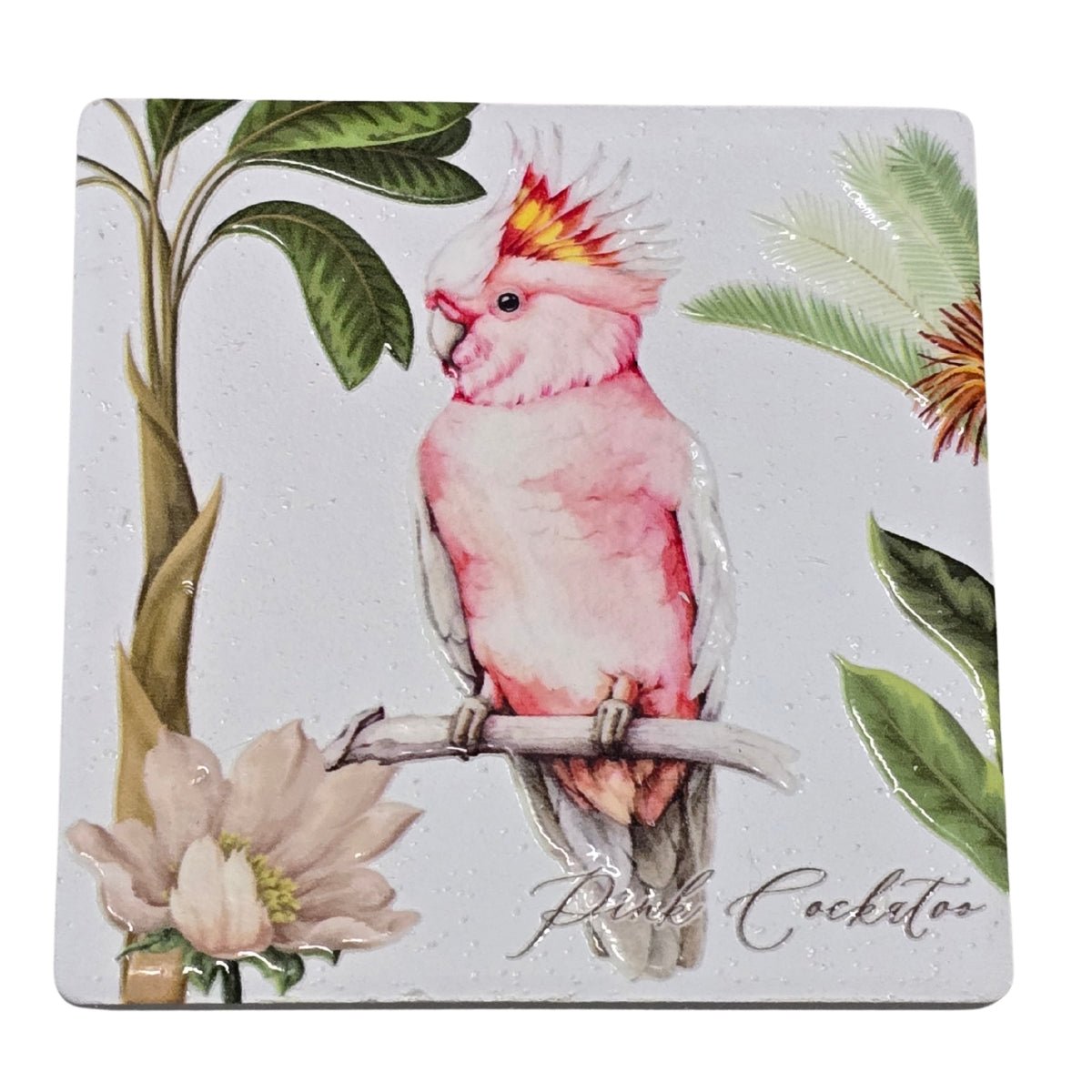 Australian Bird Magnet – 8cm Assorted Designs - Oldboy&
