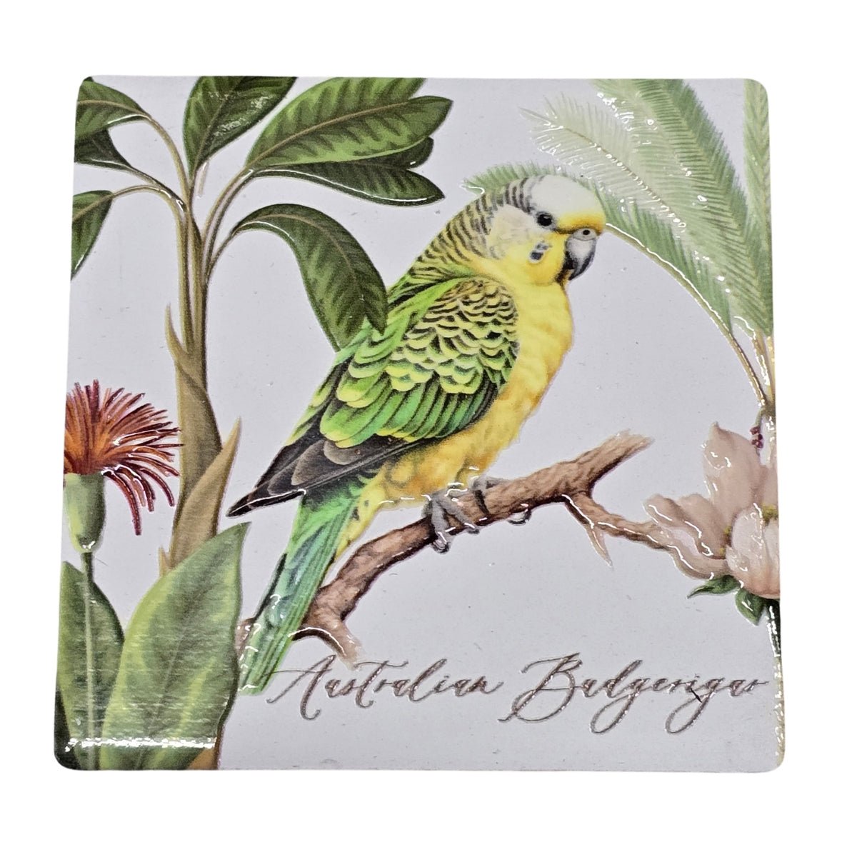 Australian Bird Magnet – 8cm Assorted Designs - Oldboy&