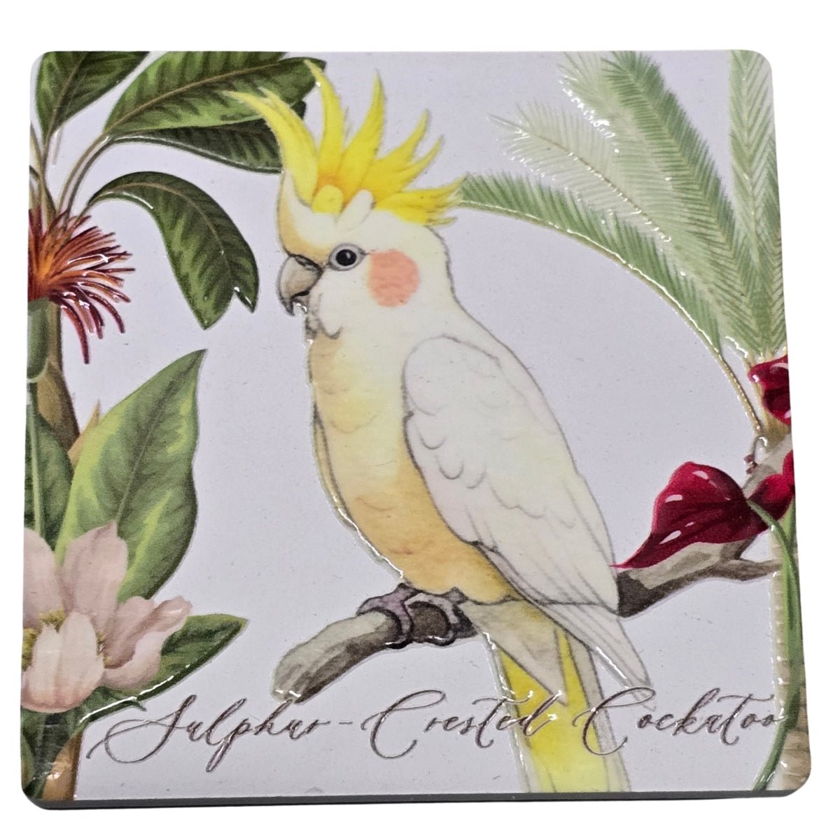 Australian Bird Magnet – 8cm Assorted Designs - Oldboy&