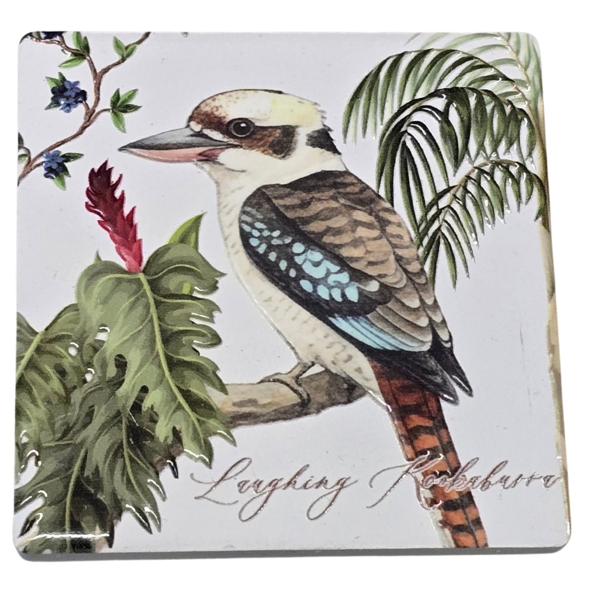 Australian Bird Magnet – 8cm Assorted Designs - Oldboy&