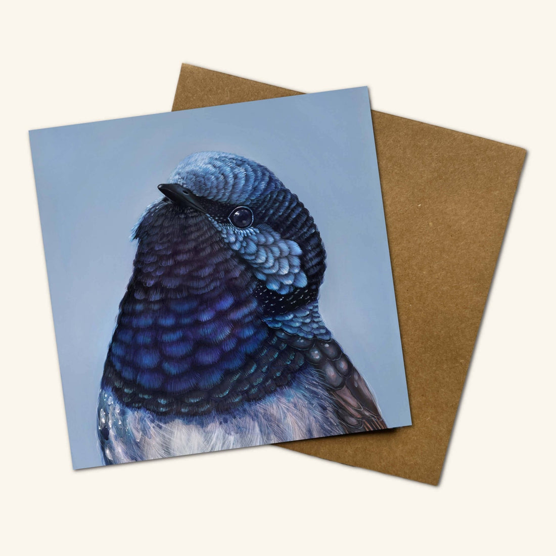 Australian Birds - Bobby the Superb Fairy Wren - Oldboy&