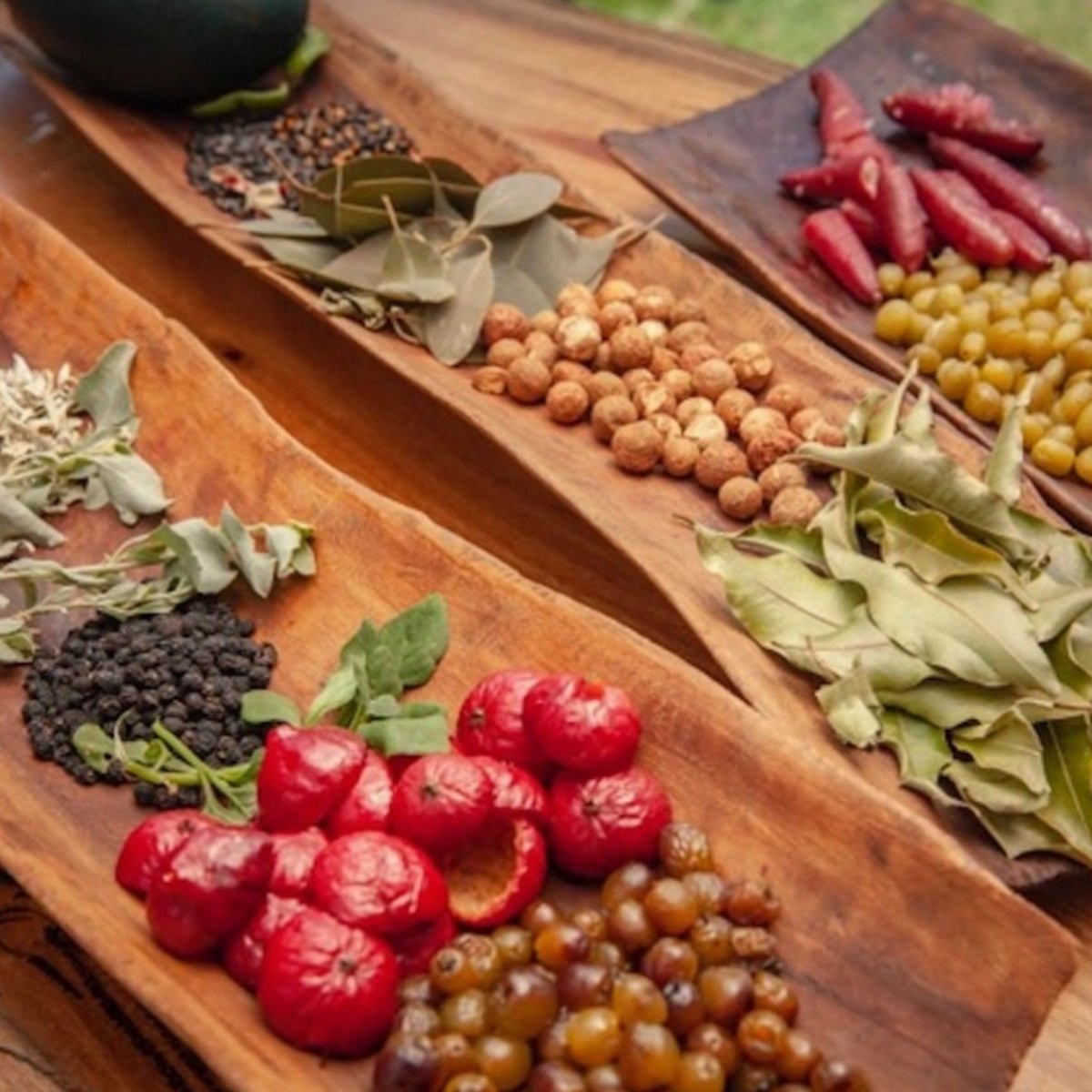 Australian Native Bush Tucker Seed Bomb – Mixed Edible Native Seeds - Oldboy&