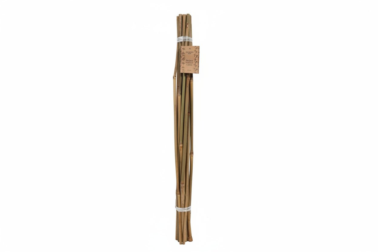 Bamboo Garden Canes 600mm &amp; 900mm – Natural Plant Support Stakes 8/10mm Pack of - Oldboy&