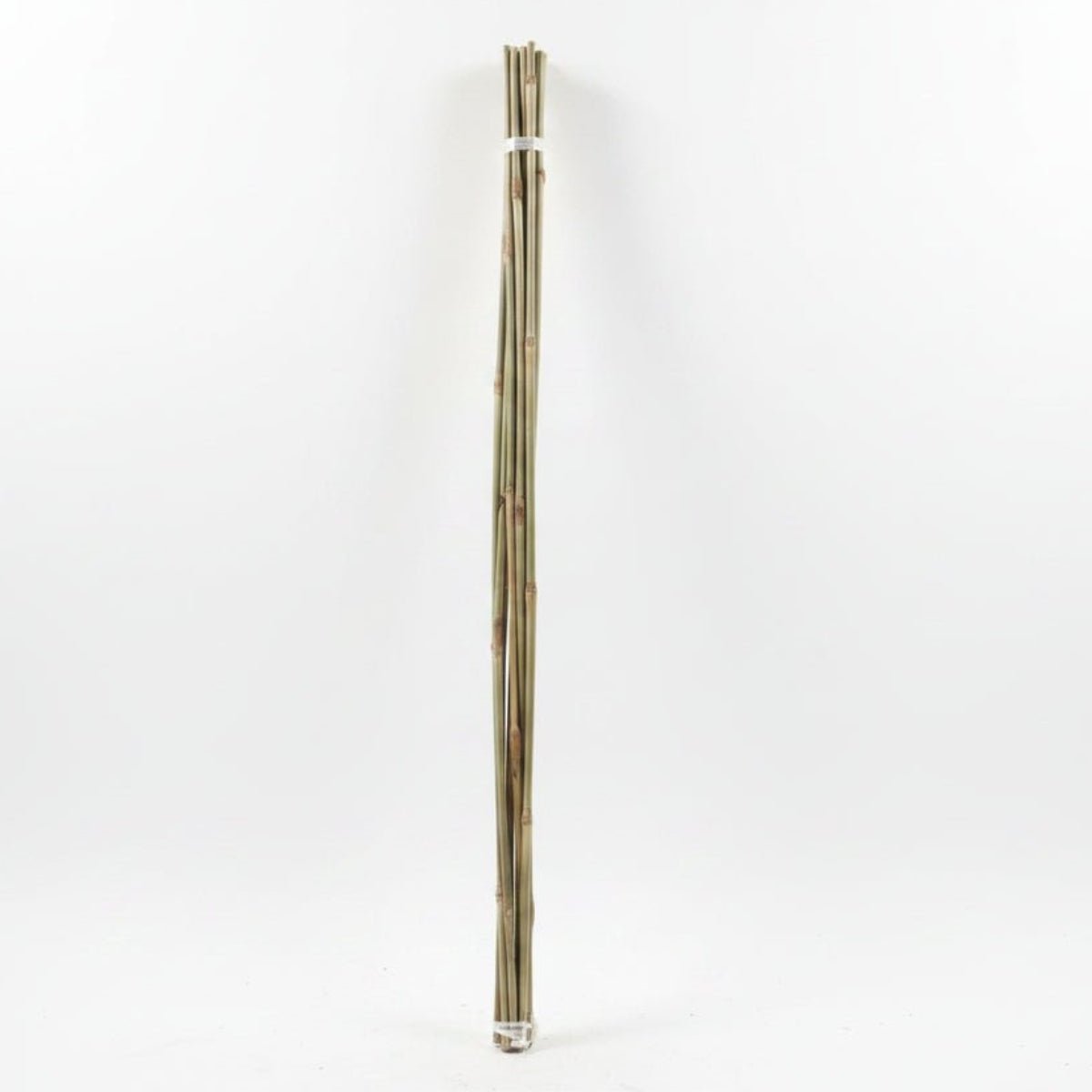 Bamboo Garden Canes 600mm &amp; 900mm – Natural Plant Support Stakes 8/10mm Pack of - Oldboy&