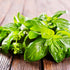 Basil Genova Seeds (Ocimum basilicum) – Italian Pesto Basil, Slow to Bolt, Strong Spicy Aroma - Oldboy&