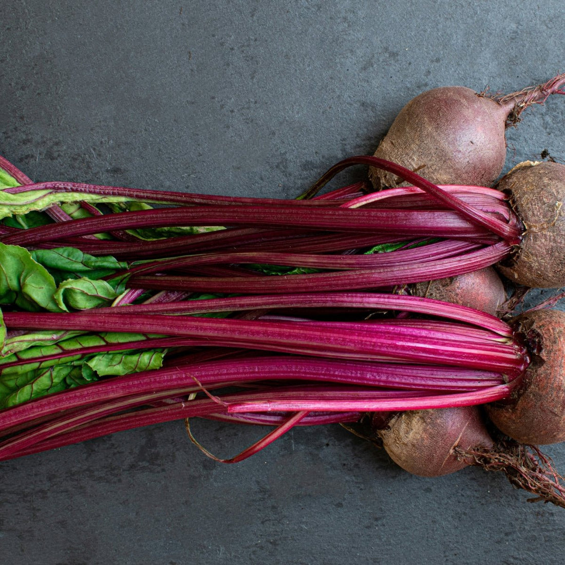 Beetroot Cylindra Seeds (Beta vulgaris) - Oldboy&