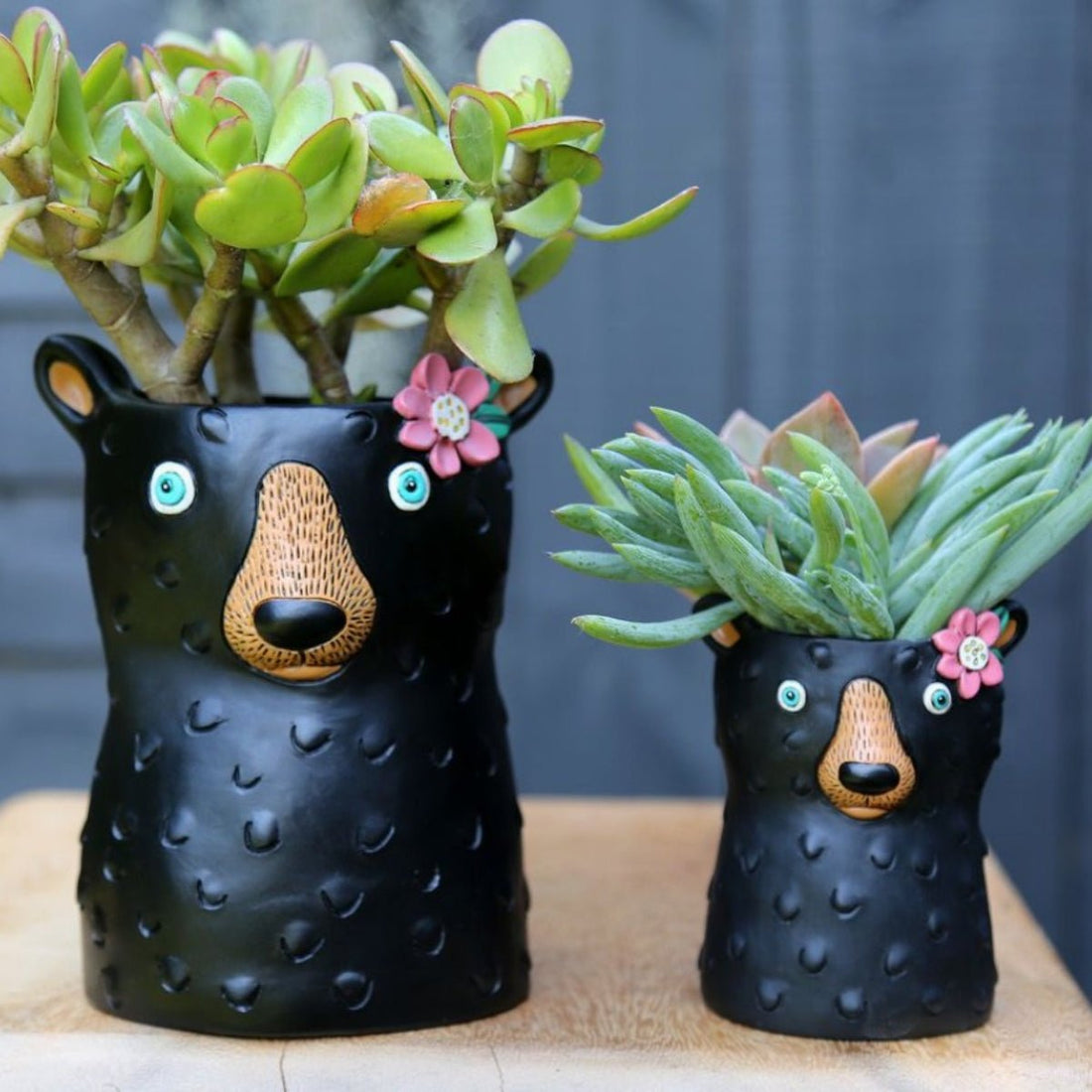 Black Bear Plant Pot – Cute Animal Planter for Indoor &amp; Outdoor Decor - Oldboy&