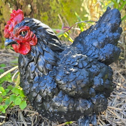 Black Chicken Hen Garden Ornament - 26cm - Oldboy&