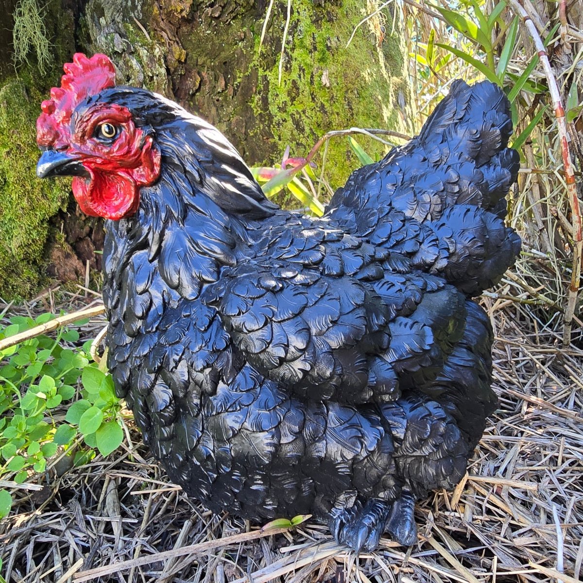 Black Chicken Hen Garden Ornament - 26cm - Oldboy&