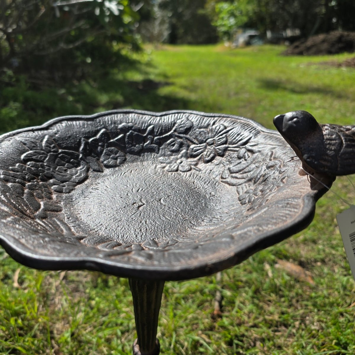 Bronze Robin Cast Iron Birdbath 50cm | SW0046 - Oldboy&