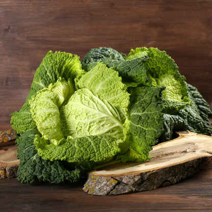 Cabbage Savoy Green Vertus Seeds (Brassica oleracea) - Oldboy&