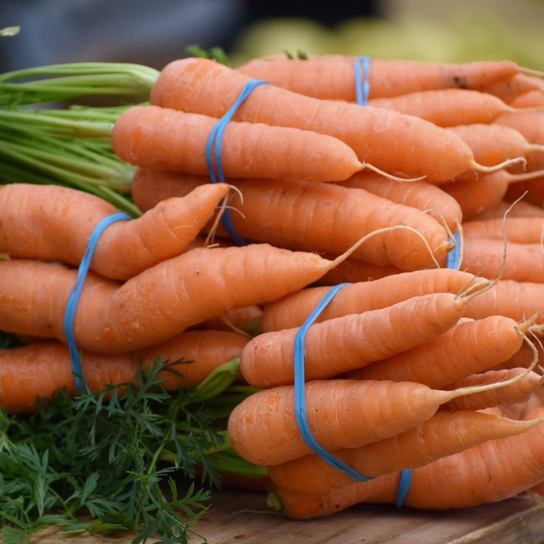 Carrot Chantenay Red Cored Seeds (Daucus carota) - Oldboy&