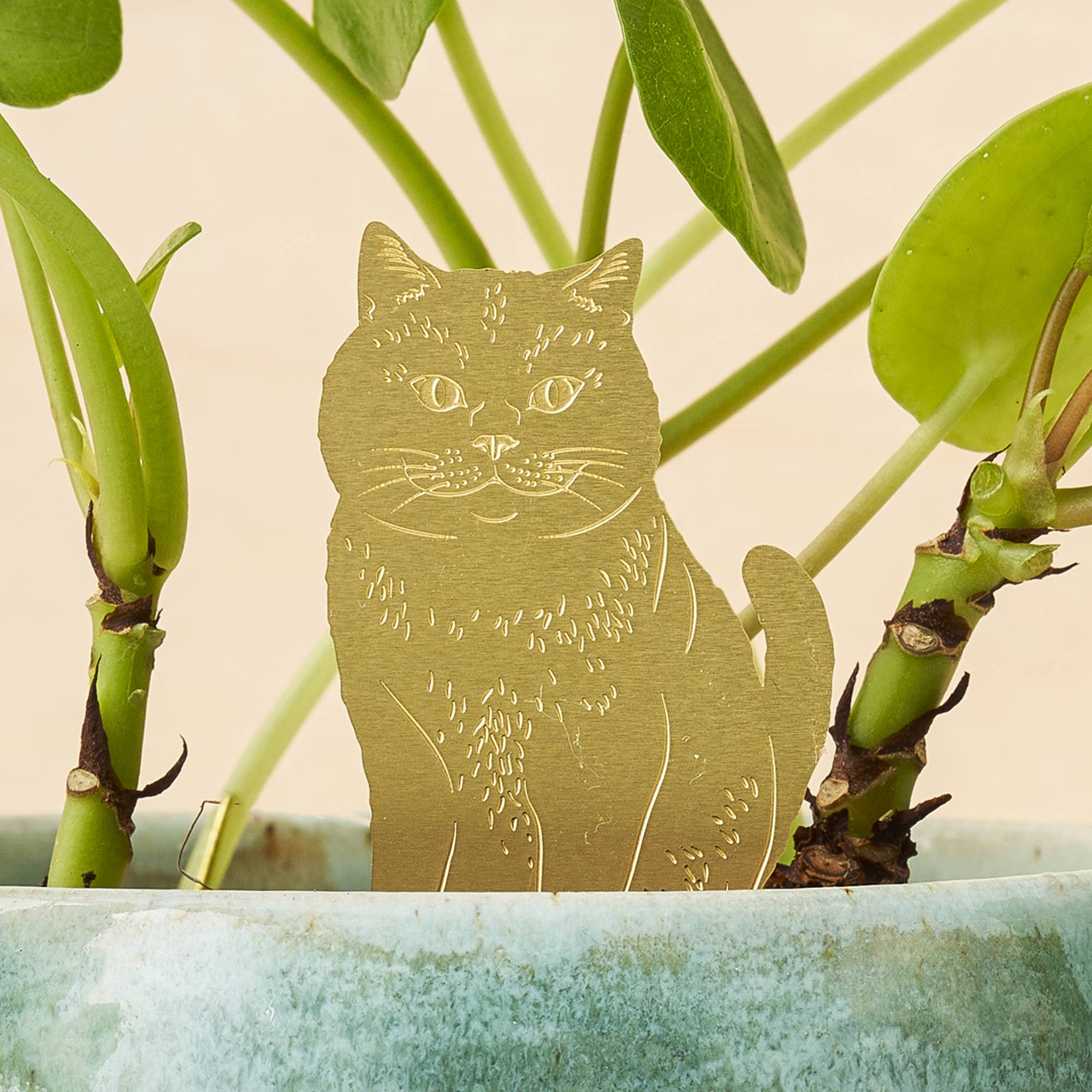 Cat Plant Animal – Brass Houseplant &amp; Pot Decoration - Oldboy&