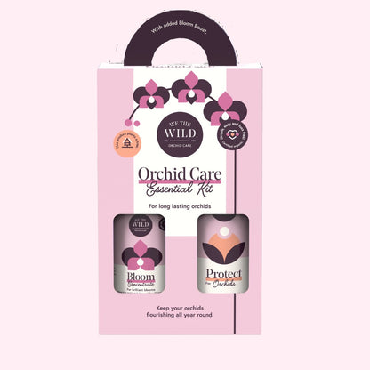 Crucifix Orchid | Epidendrums | Orchidaceae - Oldboy&