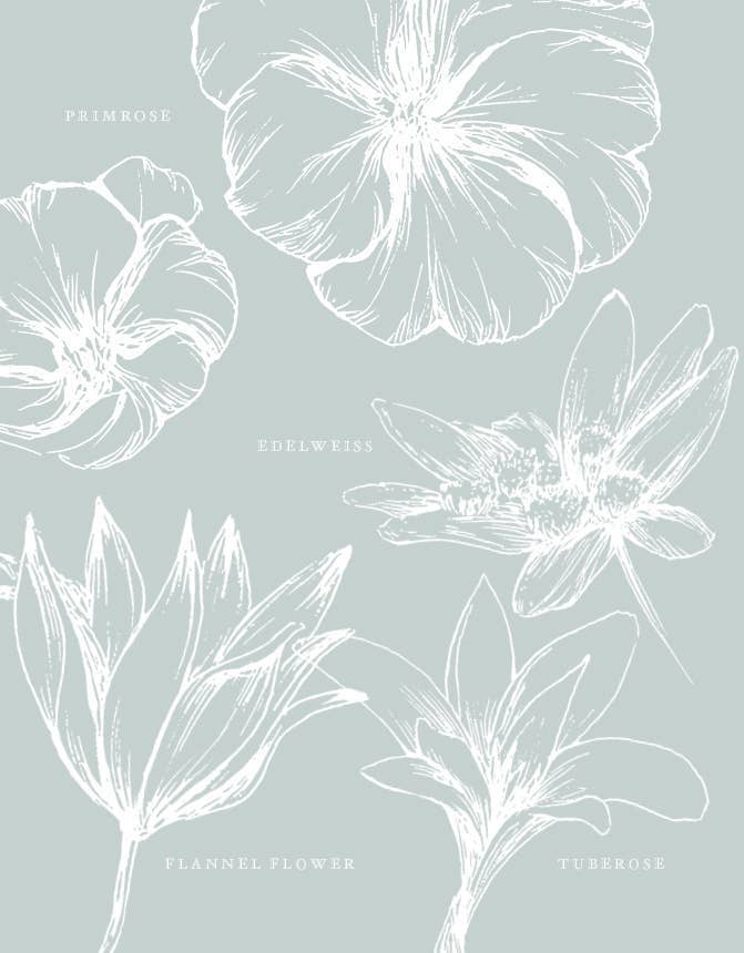 Flowerpaedia: 1000 Flowers and Their Meanings - Oldboy&