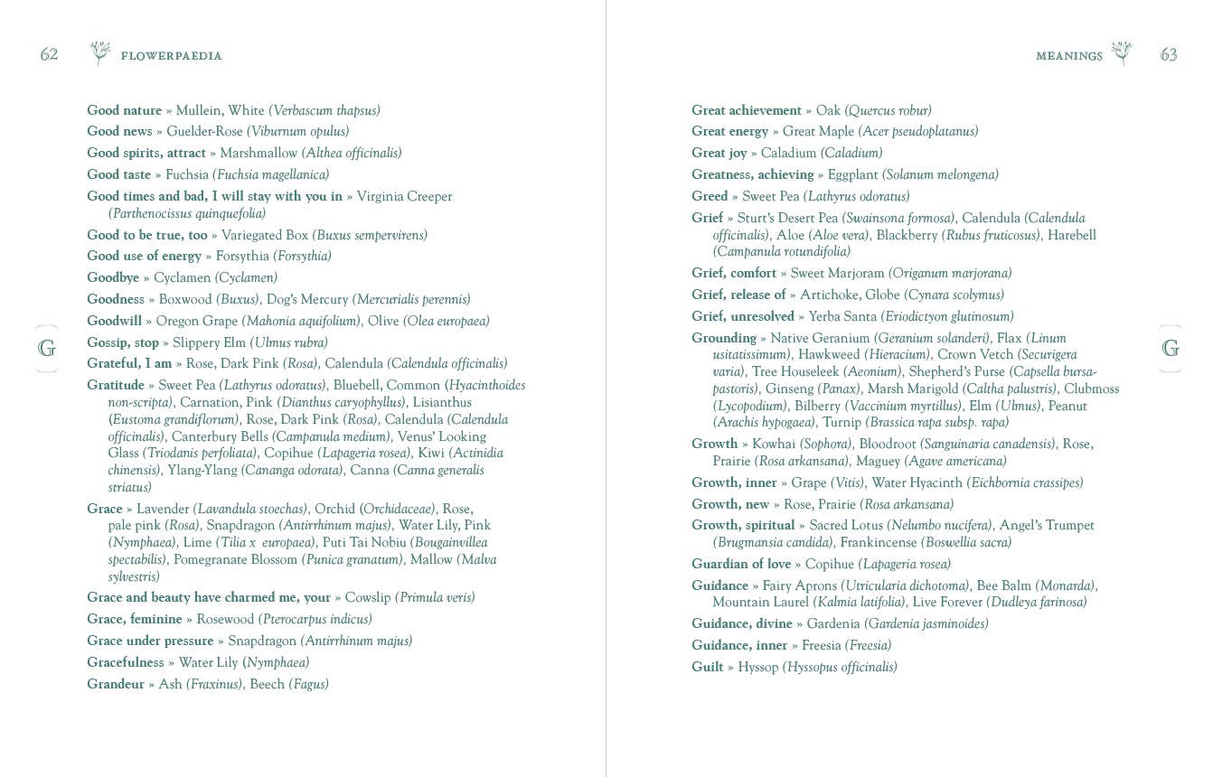 Flowerpaedia: 1000 Flowers and Their Meanings - Oldboy&