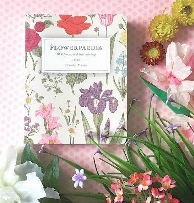 Flowerpaedia: 1000 Flowers and Their Meanings - Oldboy&