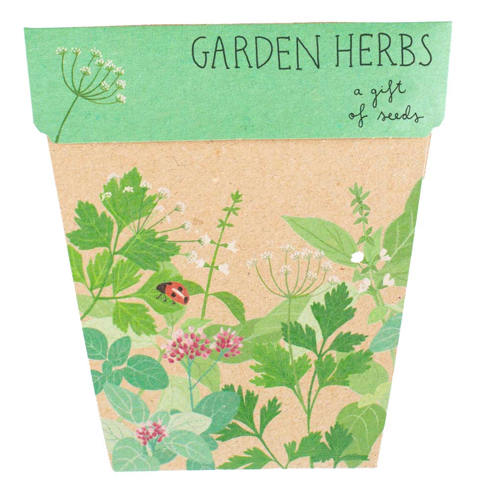 Garden Herbs Gift of Seeds – Basil, Parsley & Oregano for Foodies 🌱💌 - Oldboy&