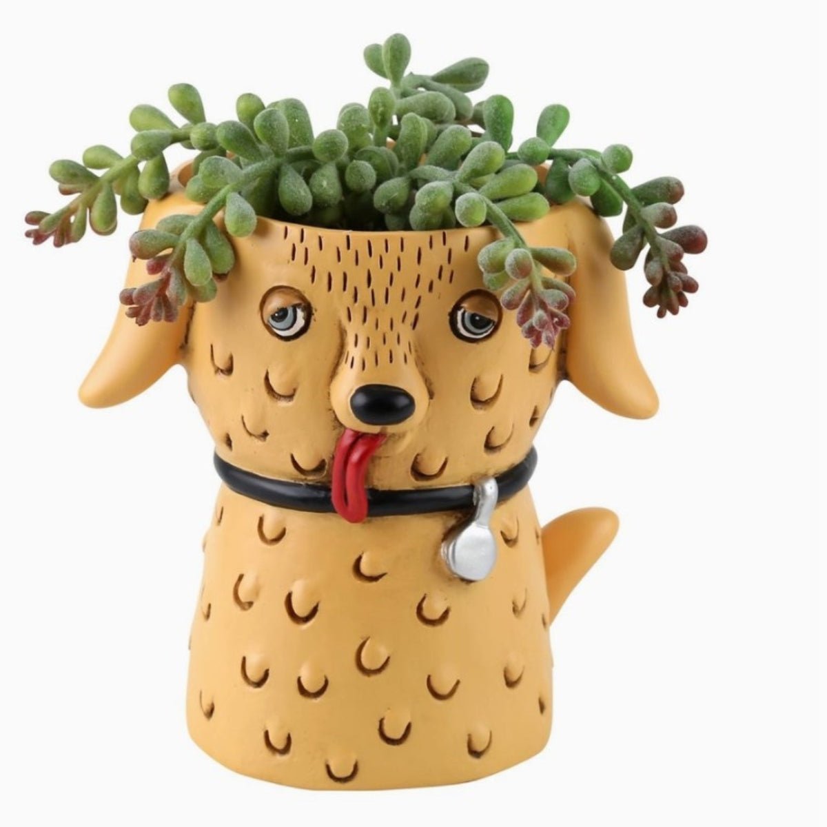 Goldie Dog Planter – Hand - Painted Polyresin Pot with Drainage | Available in Baby &amp; Tall Sizes - Oldboy&