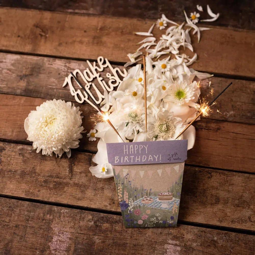 Happy Birthday Picnic Gift of Seeds - Oldboy&