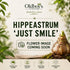Hippeastrum ‘Just Smile’ | White and Pink Amaryllis Bulb - Oldboy&