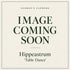 Hippeastrum ‘Table Dance’ Bulb | Red and Cream Amaryllis - Oldboy&