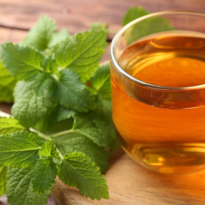 Lemon Balm Seeds (Melissa officinalis) – Fragrant Culinary Herb for Tea, Herb Gardens &amp; Pollinator - Friendly Planting - Oldboy&
