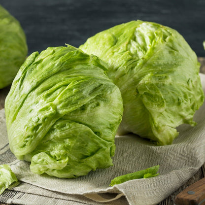 Lettuce Great Lakes (Iceberg) Seeds (Lactuca sativa) - Oldboy&