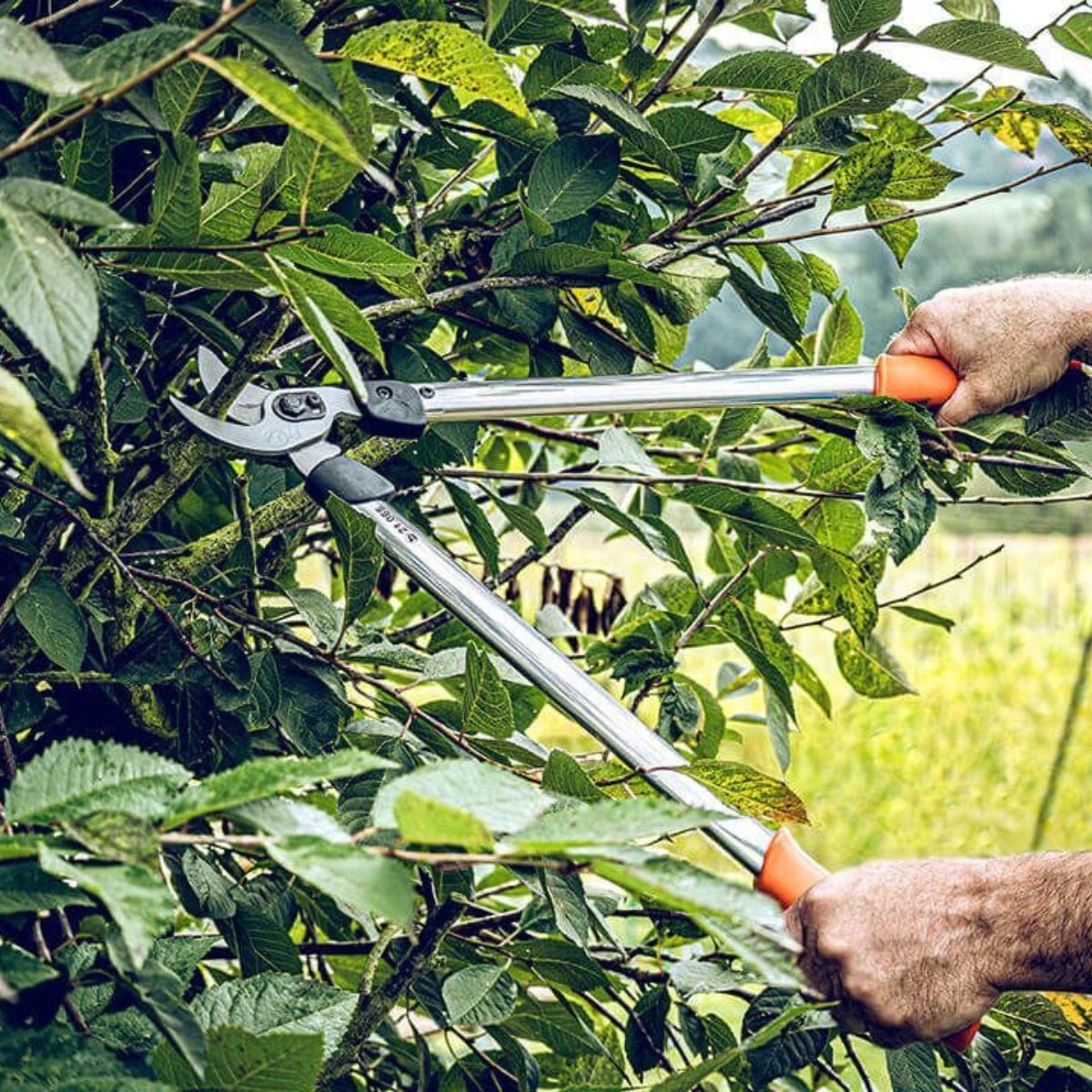 LÖWE 65cm Bypass Lopper 21.065 (GT242) - Oldboy&