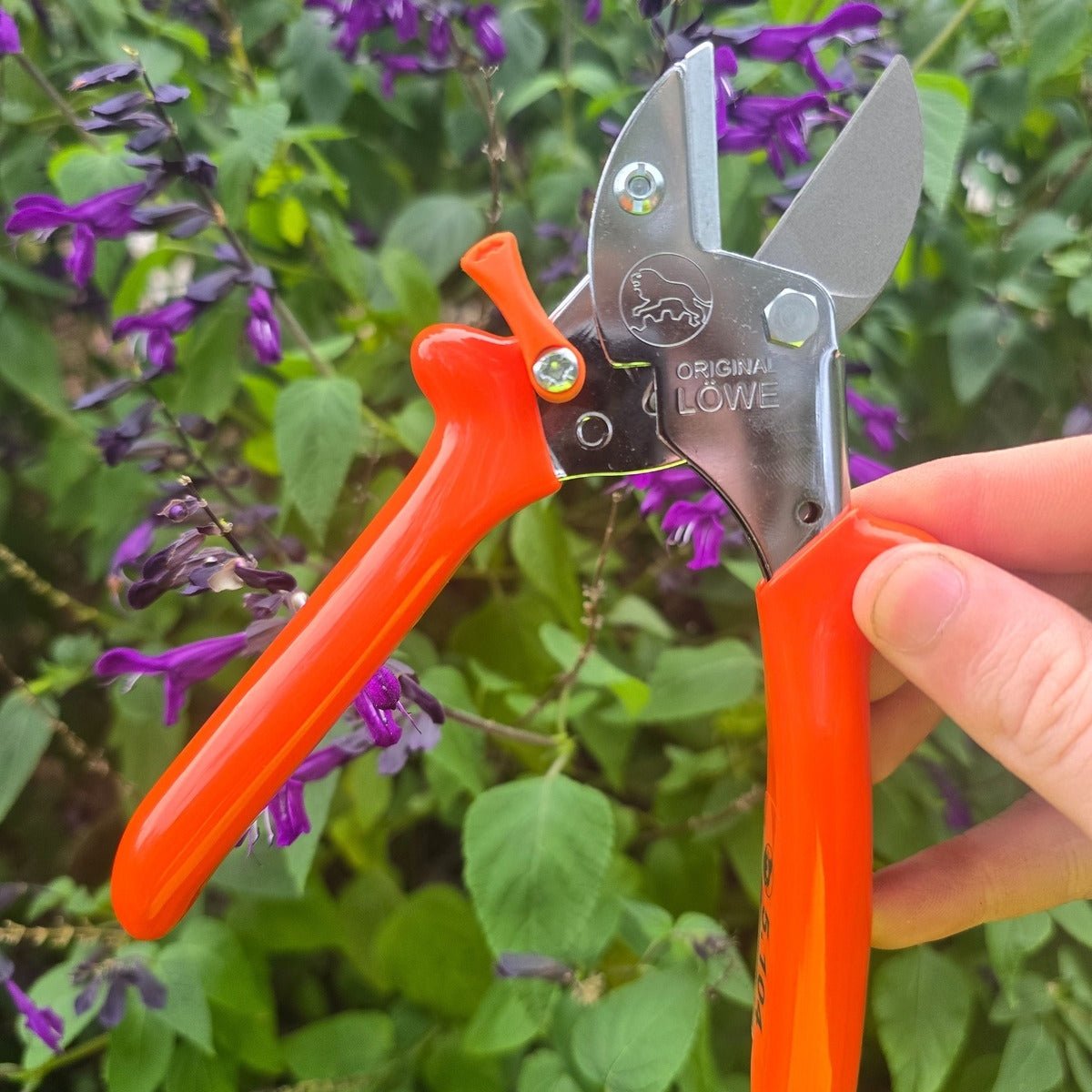 LÖWE No.5 (5.104) Small Anvil Pruner | 16mm Cutting Capacity | Made in Germany | Lightweight &amp; Ergonomic for Left &amp; Right - Handed Use - Oldboy&