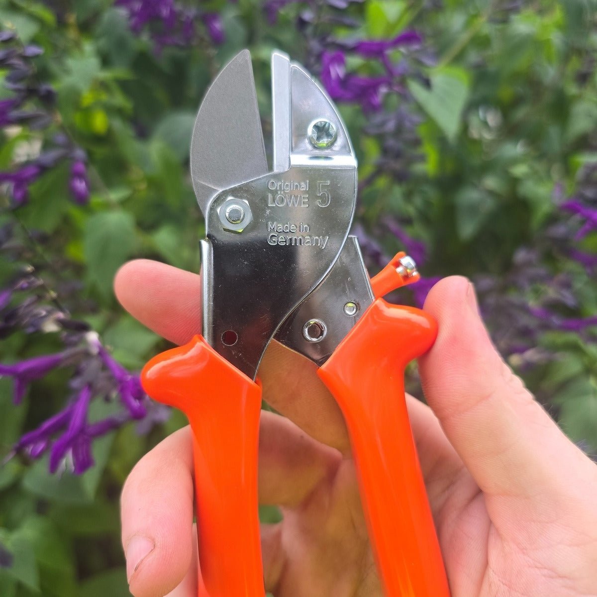 LÖWE No.5 (5.104) Small Anvil Pruner | 16mm Cutting Capacity | Made in Germany | Lightweight &amp; Ergonomic for Left &amp; Right - Handed Use - Oldboy&