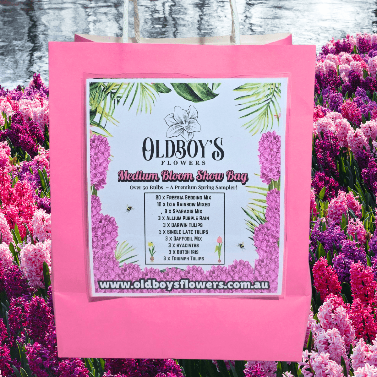 Medium Bloom Show Bag – 59 Premium Spring Bulbs - Oldboy&