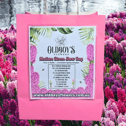 Medium Bloom Show Bag – 59 Premium Spring Bulbs - Oldboy&