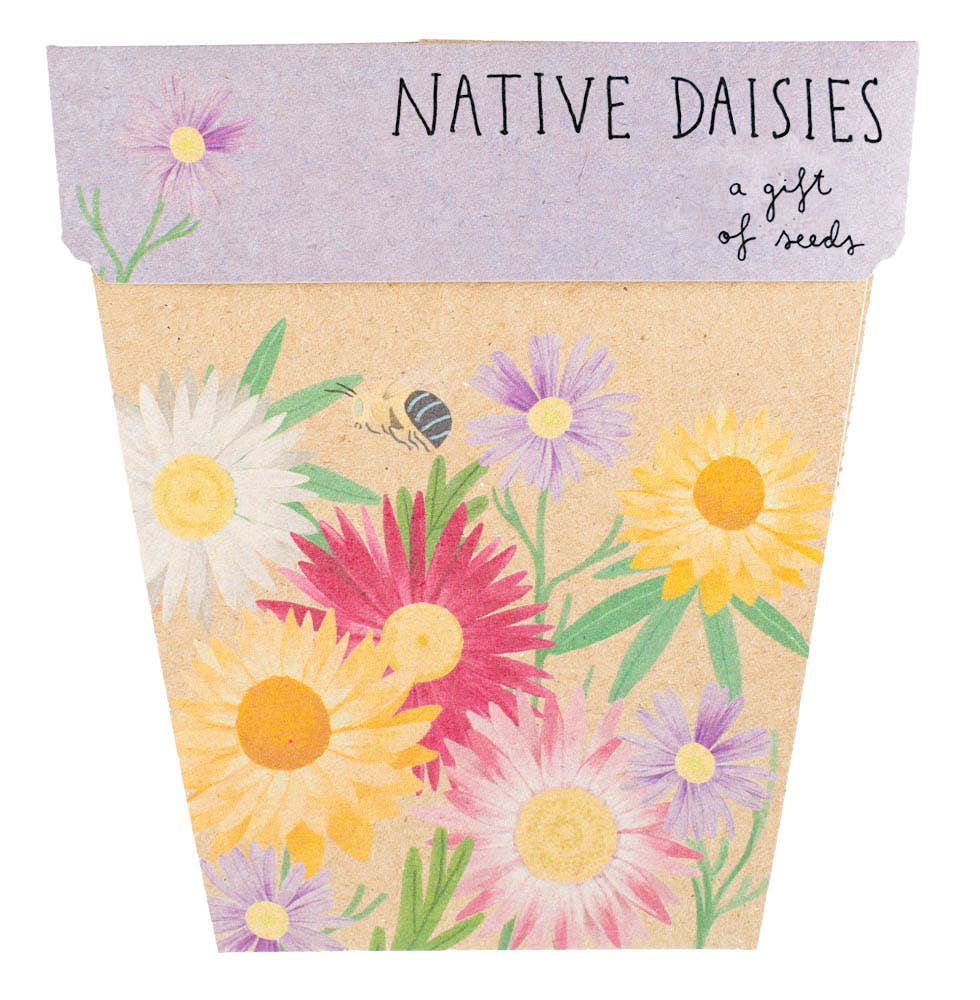 Native Daisies Gift of Seeds – Aussie Blooms for Every Occasion - Oldboy&