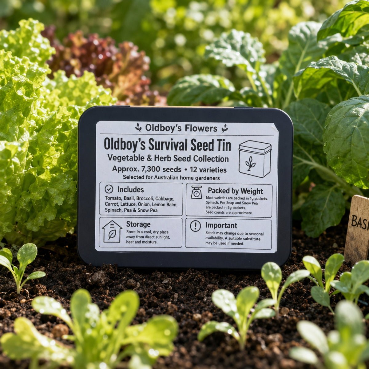 Oldboy’s Survival Seed Tin – Vegetable &amp; Herb Growing Kit - Oldboy&
