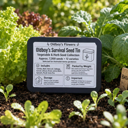 Oldboy’s Survival Seed Tin – Vegetable &amp; Herb Growing Kit - Oldboy&