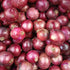 Onion Amposta Purple / Red Seeds (Allium cepa) - Oldboy&