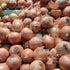 Onion Pukekohe Long Keeper Seeds (Allium cepa var. cepa) - Oldboy&