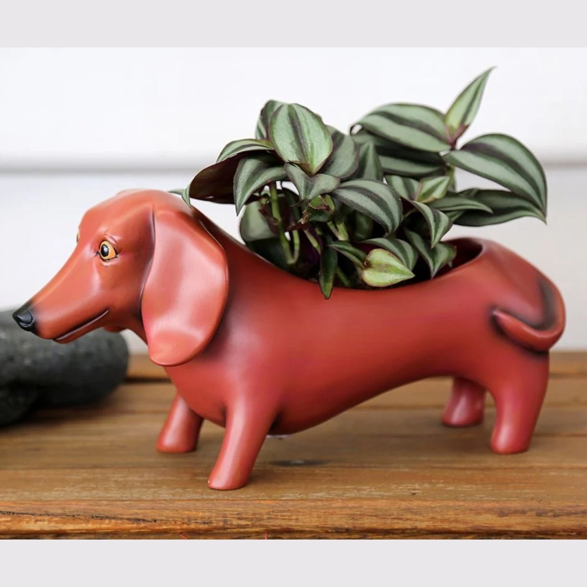 Oscar Planter | Decorative Plant Pot by Allen Designs - Oldboy&