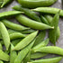 Pea Snap Sugar Bon Seeds (Pisum sativum) - Oldboy&