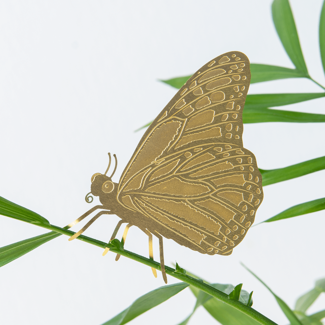 Plant Animal – Butterfly Brass Plant Decoration - Oldboy&