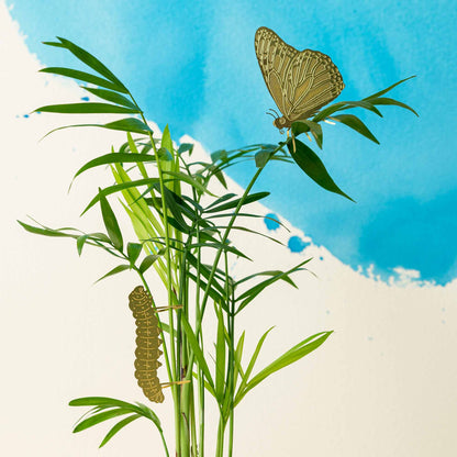 Plant Animal – Butterfly Brass Plant Decoration - Oldboy&