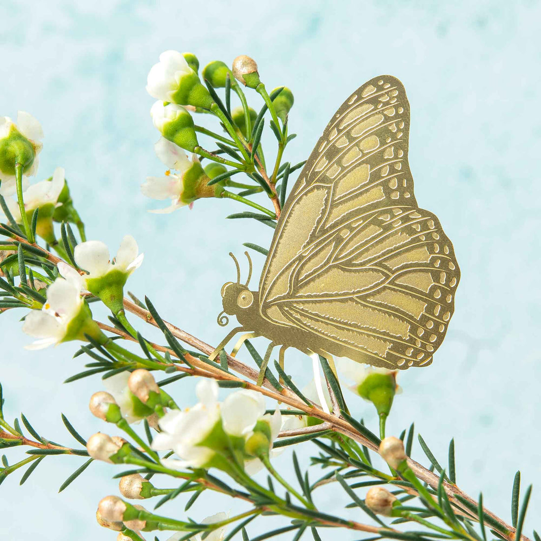 Plant Animal – Butterfly Brass Plant Decoration - Oldboy&